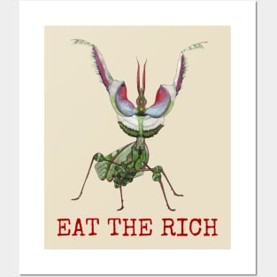 Eat the Rich, idolomantis diabolica, Devil’s Flower Mantis Posters and Art